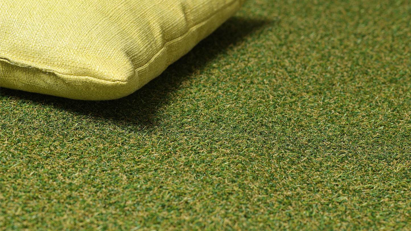 Field CUT
