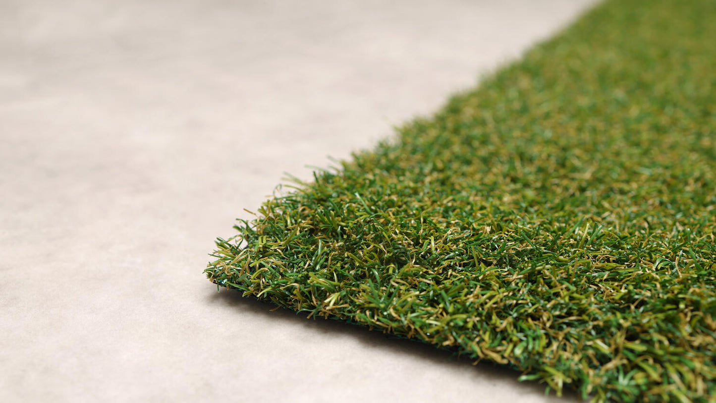 Field - trava