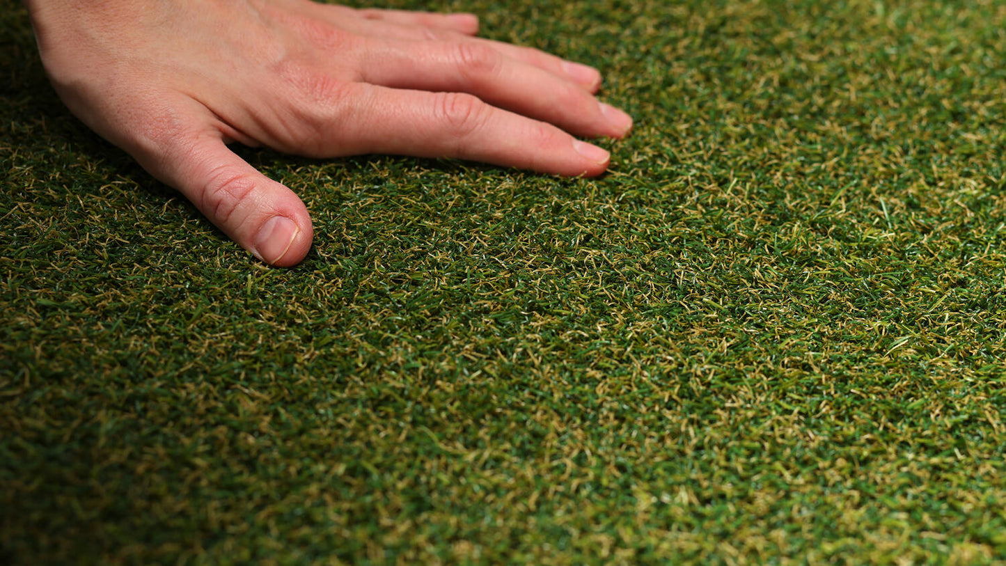 Field CUT